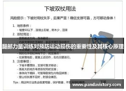 腿部力量训练对预防运动损伤的重要性及其核心原理